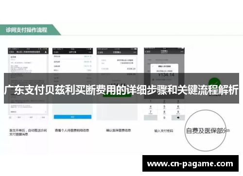 广东支付贝兹利买断费用的详细步骤和关键流程解析
