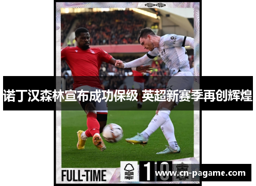 诺丁汉森林宣布成功保级 英超新赛季再创辉煌