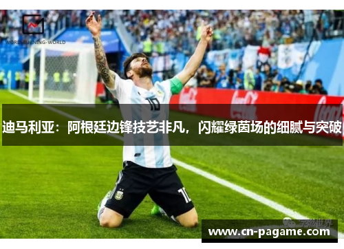 迪马利亚：阿根廷边锋技艺非凡，闪耀绿茵场的细腻与突破