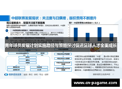 青年球员发展计划实施路径与策略探讨促进足球人才全面成长