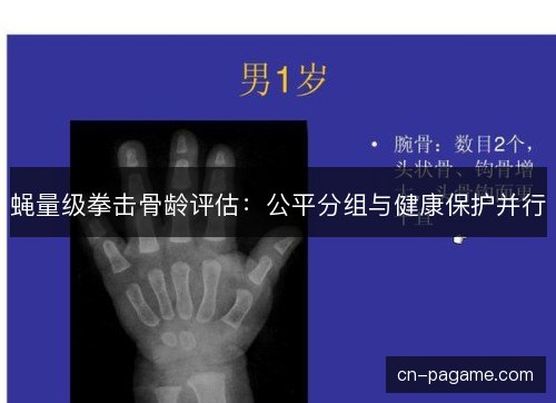 蝇量级拳击骨龄评估：公平分组与健康保护并行